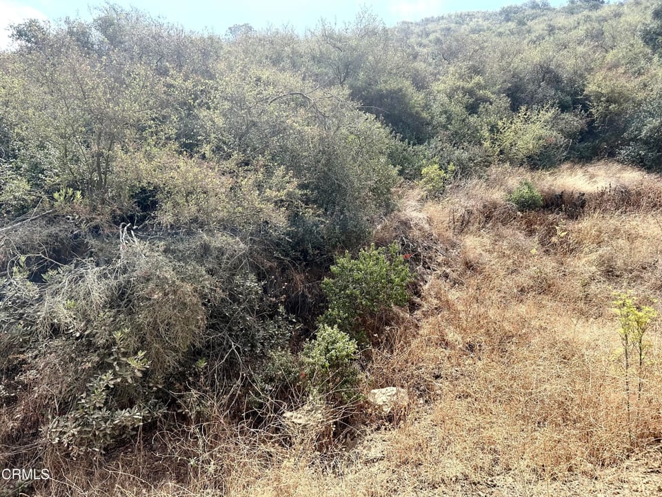 650 South Ventu Park Road, Newbury Park, CA 91320