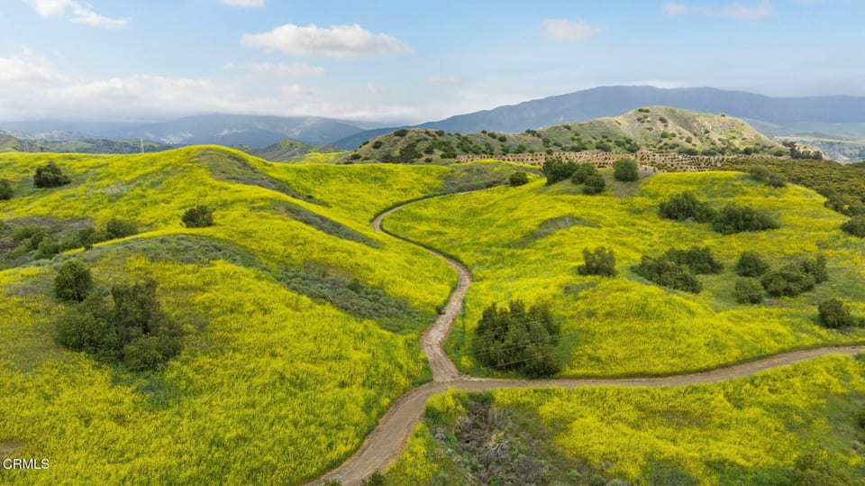 0 Dickenson Road, Santa Paula, CA 93060
