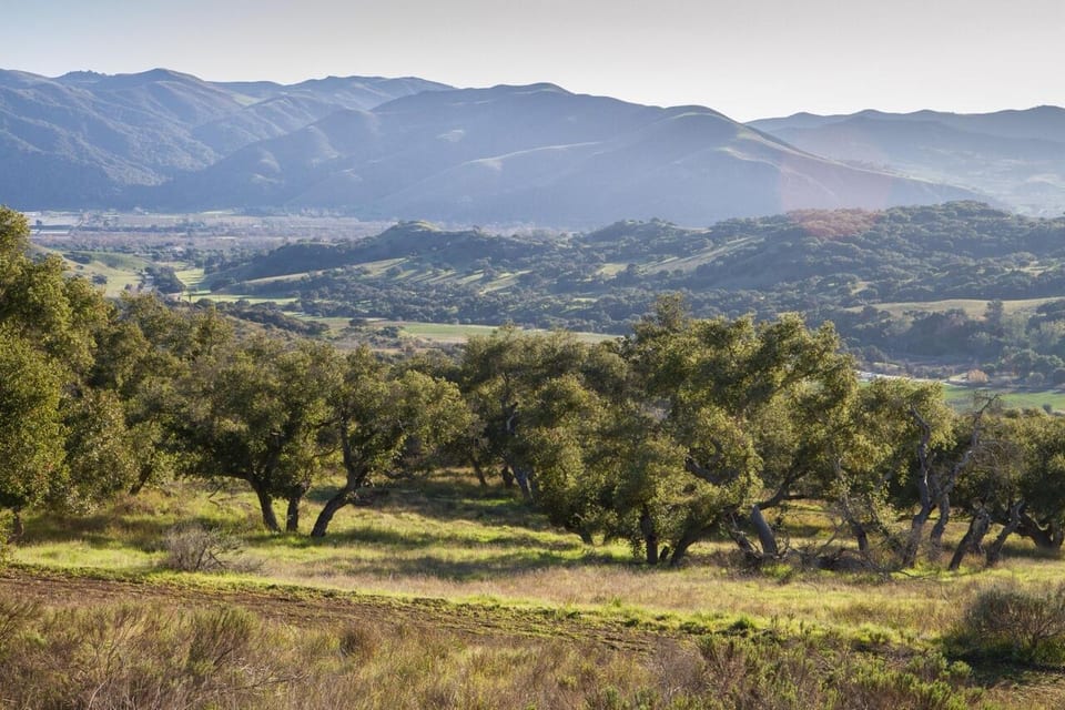 0 Cougar Ridge Road, BUELLTON, CA 93427