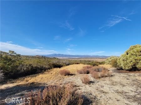0 Tule Peak