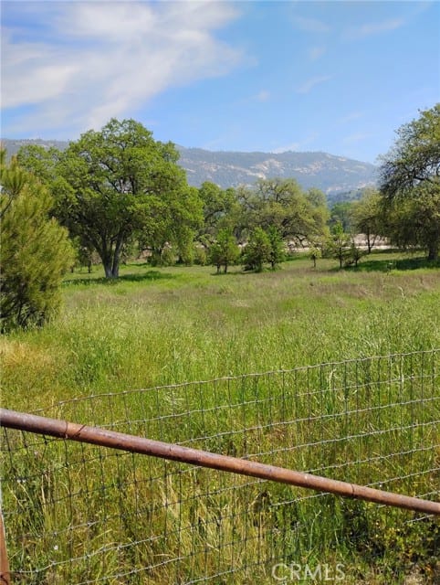 35400 Spanish Oak