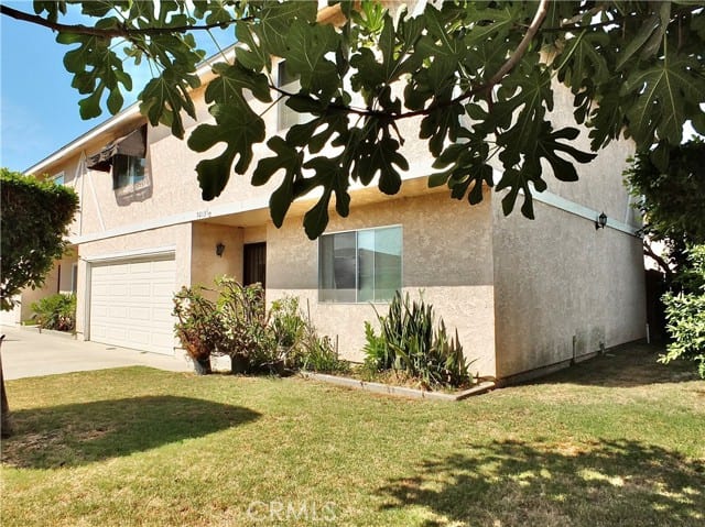 9213 Cedar