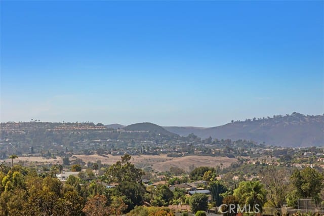 29091 Via Cerrito