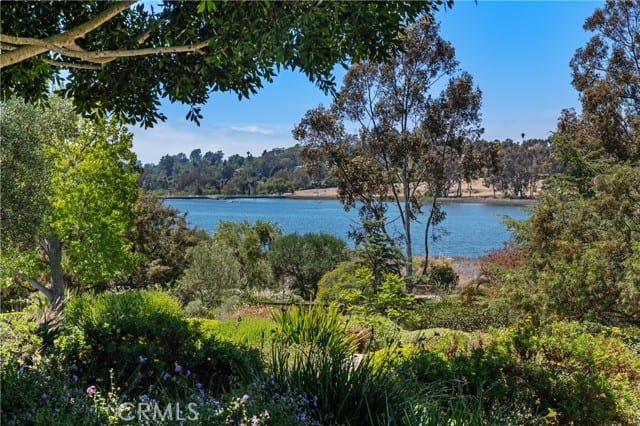 6533 Lago Lindo, Rancho Santa Fe, CA 92067
