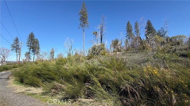 0 Starcrest Lane