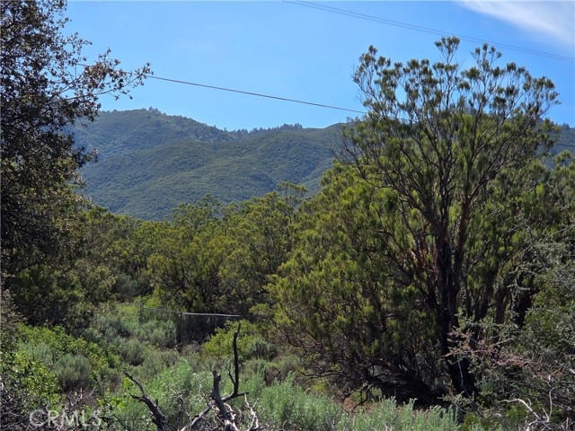 37400 Tripp Flats