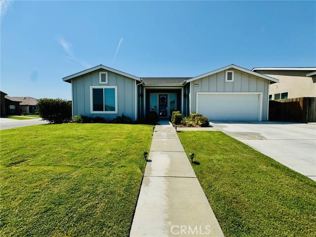 5803 Hawthorn Tree