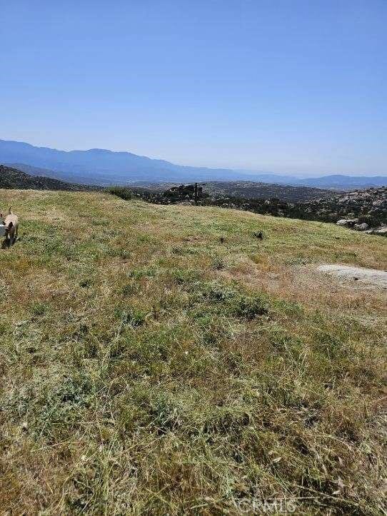 0 Crazy Horse Cyn