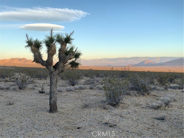 0 VL Near Lucerne Valley Cutoff
