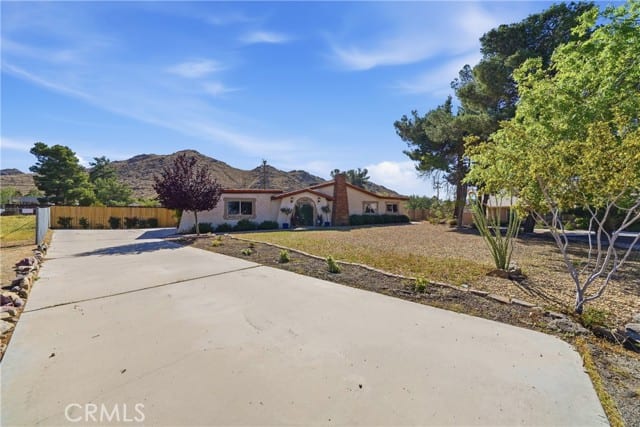 15951 Saint Timothy