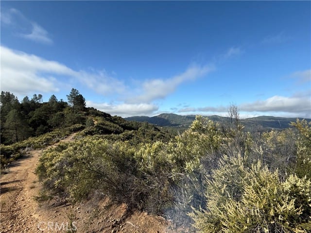 76386 Bryson Hesperia Road