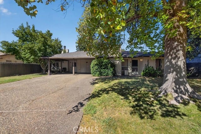3403 Silverbell