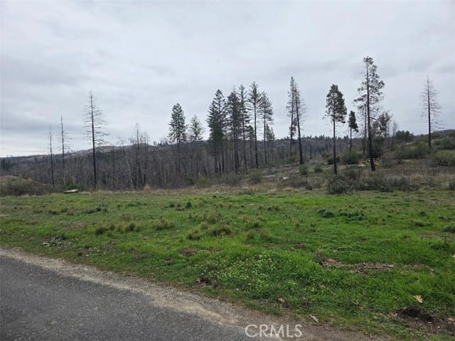 259 Rockerfeller Road