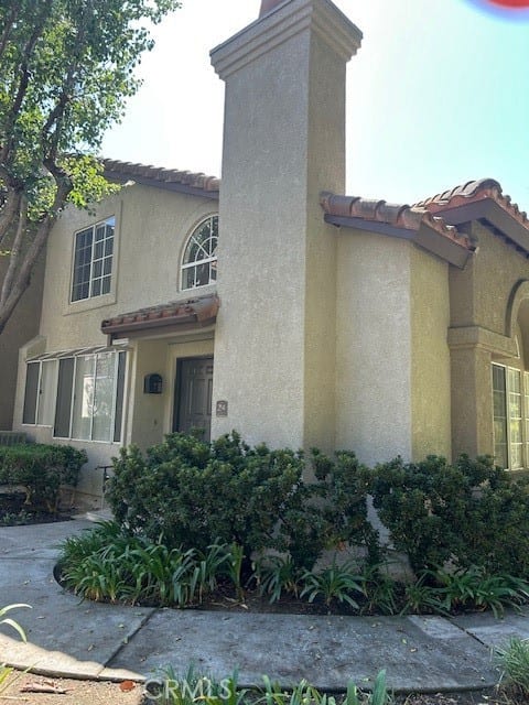 24 Tamarac