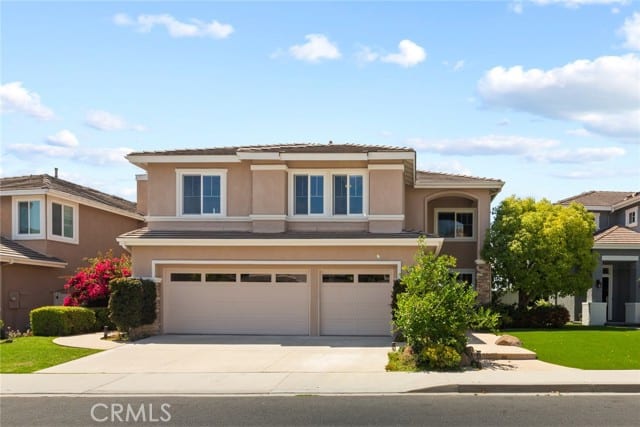 65 Rockrose