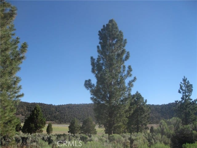 2805 Cedar Lane