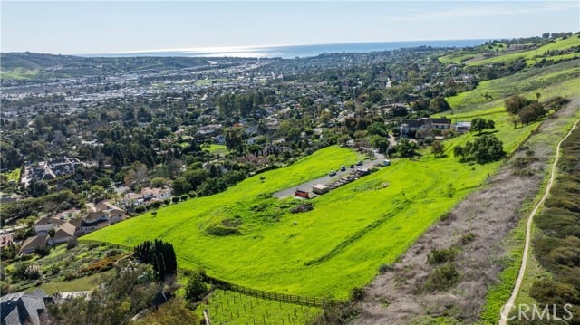 31641 Peppertree Bend