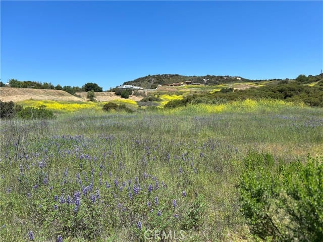 24201 Mulholland Highway