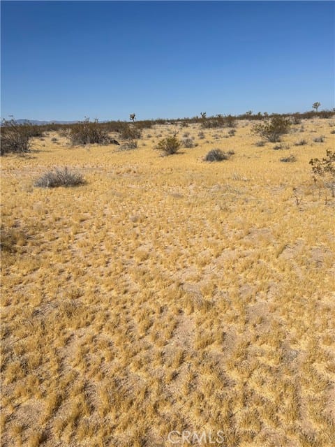 5 Mi N/O Shadow Mt Road