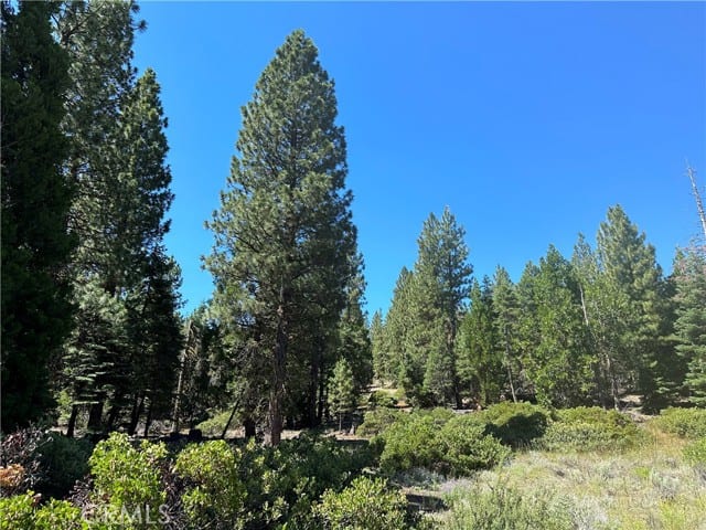 1 Canyon Creek Rd