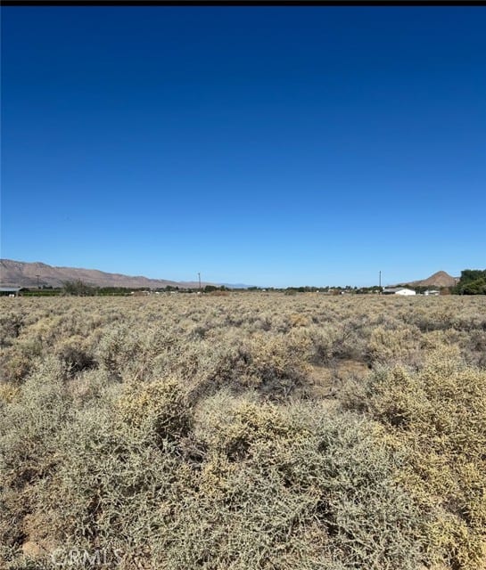 0 Mesquite Springs