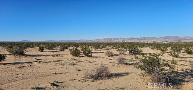 0 Mesquite Springs