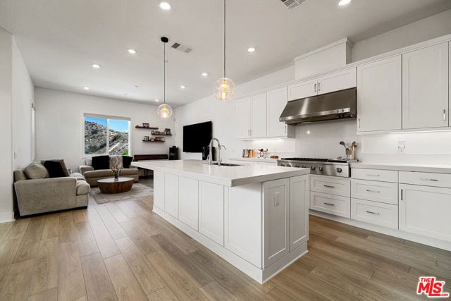 27124 Skyland Way, Valencia, CA 91381
