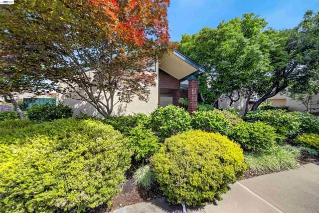 202 Baywood Rd