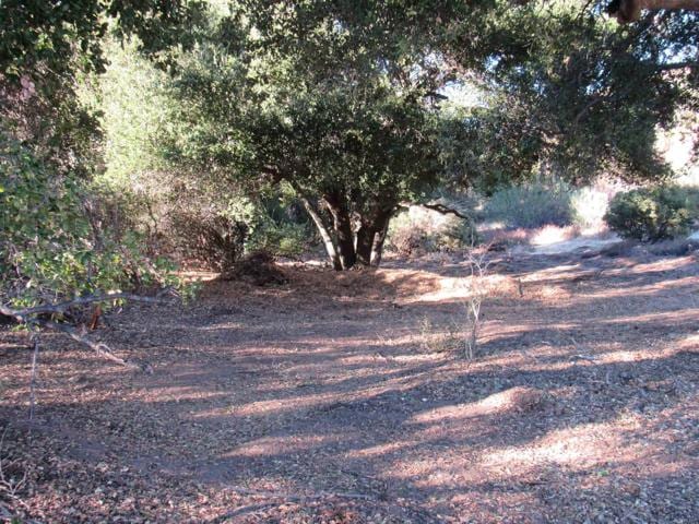 2115 North Campo Truck Trail