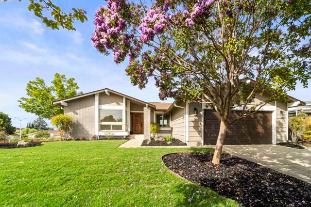 925 Basalt Ct