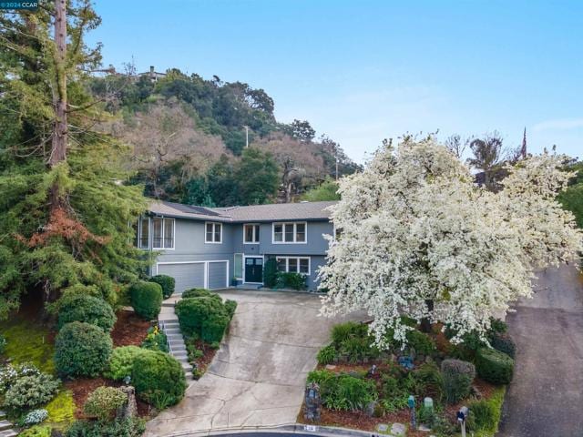 115 Bando Ct