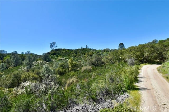 0 Bryson Hesperia Road