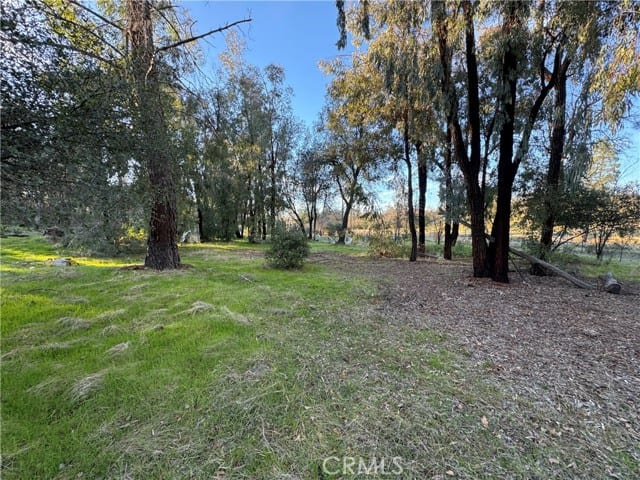4733 Bonnett Trail