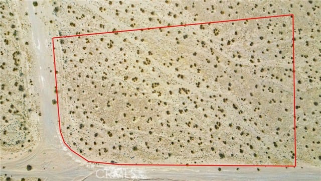 0 Desert Flower