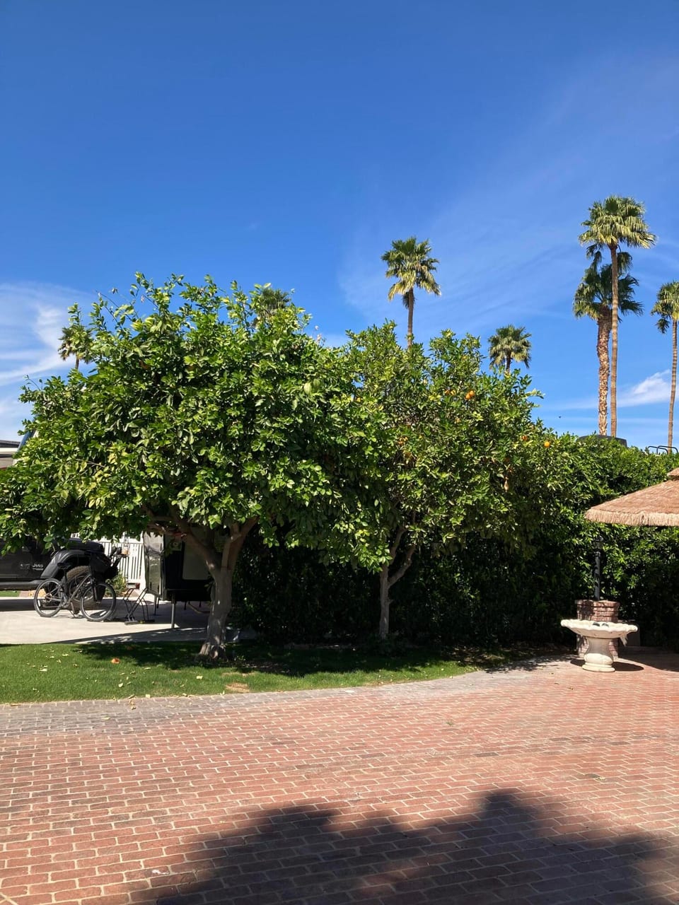 69411 Ramon Road