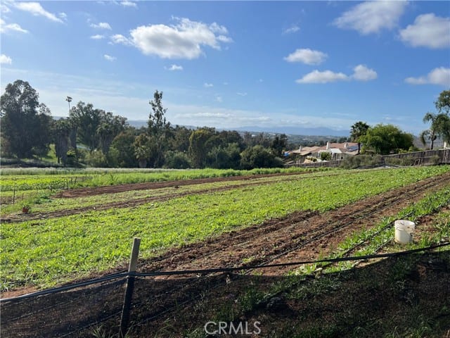 2205 Bautista Avenue