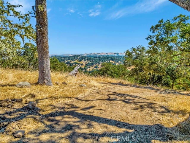 6452 Alta Pradera