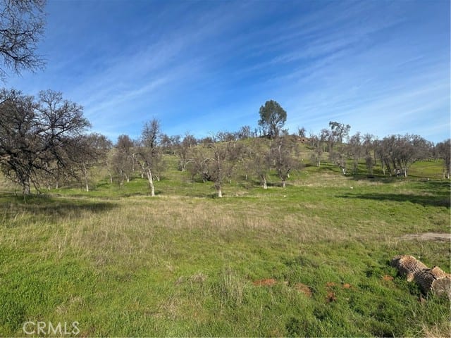 3228 Wild Rose Court