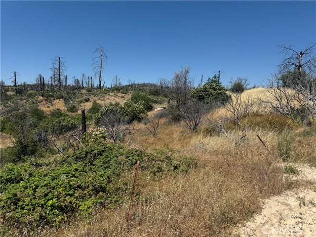 0 Sierra View