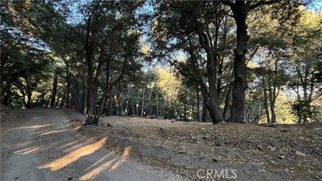722 Mojave River Road