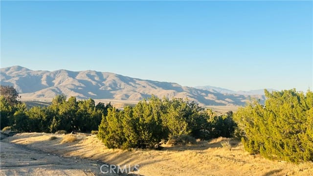 9132 Candlewood Road