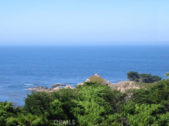 195 Spindrift Road