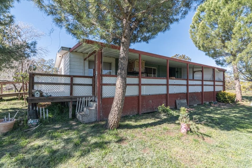 43231 Chapman