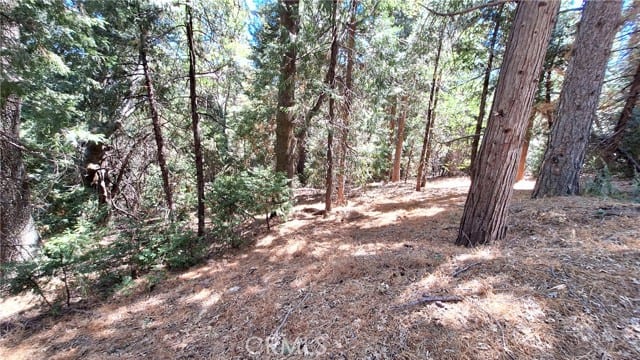0 Cedar Pines