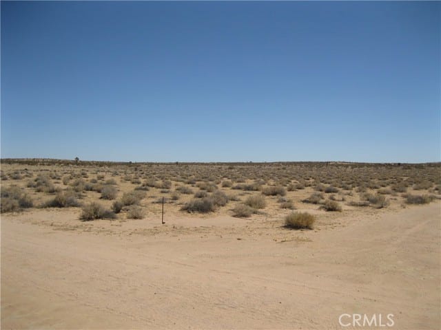 0 Tamarisk