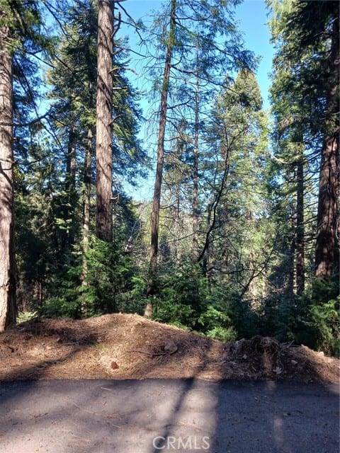 35 Spring Drive