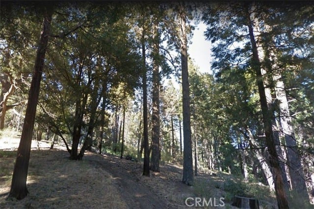 59 Mojave River Road