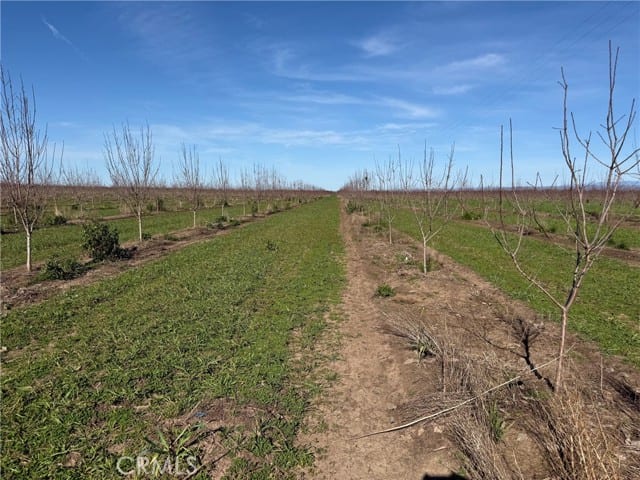 0 Cana Highway