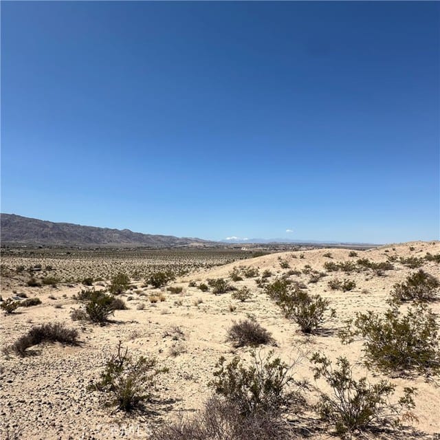 1234 Buena Vista Drive
