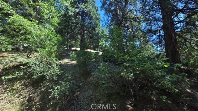 22494 Mojave River Road